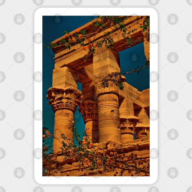 Egypt. Temple of Philae. Detail. Sticker by vadim19